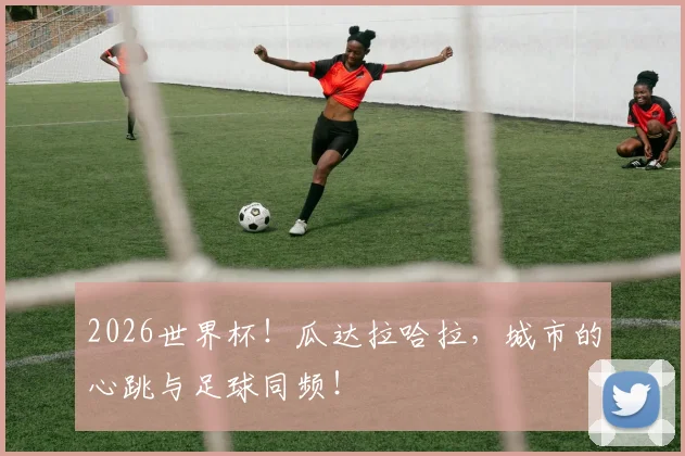 2026世界杯！瓜达拉哈拉，城市的心跳与足球同频！